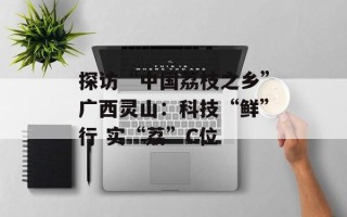 探访“中国荔枝之乡”广西灵山：科技“鲜”行 实“荔”C位