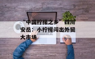 “中国柠檬之乡”四川安岳：小柠檬闯出外贸大市场
