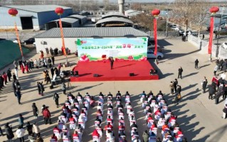 中国草莓之乡・2024年 "满城草莓"文化节开幕