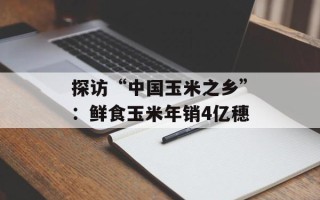 探访“中国玉米之乡”：鲜食玉米年销4亿穗