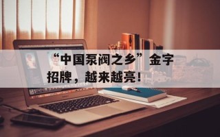 “中国泵阀之乡”金字招牌，越来越亮！