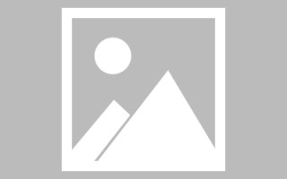 深圳举办粤港澳大湾区老字号（文化）博览会