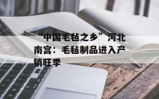 “中国毛毡之乡”河北南宫：毛毡制品进入产销旺季