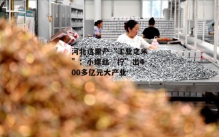 河北这里产“工业之米”：小螺丝“拧”出400多亿元大产业