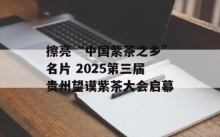 擦亮“中国紫茶之乡”名片 2025第三届贵州望谟紫茶大会启幕
