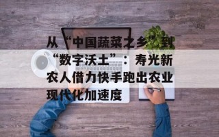 从“中国蔬菜之乡”到“数字沃土”：寿光新农人借力快手跑出农业现代化加速度