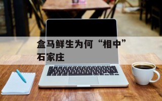 盒马鲜生为何“相中”石家庄