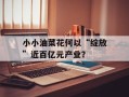 小小油菜花何以“绽放”近百亿元产业？
