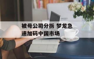 被母公司分拆 梦龙急速加码中国市场