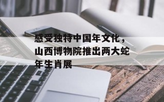 感受独特中国年文化，山西博物院推出两大蛇年生肖展