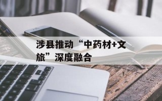 涉县推动“中药材+文旅”深度融合
