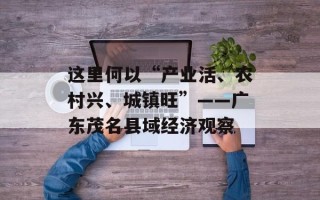 这里何以“产业活、农村兴、城镇旺”——广东茂名县域经济观察