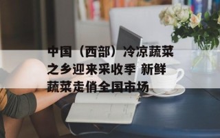 中国（西部）冷凉蔬菜之乡迎来采收季 新鲜蔬菜走俏全国市场