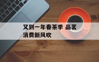又到一年春茶季 品茗消费新风吹