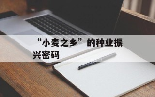 “小麦之乡”的种业振兴密码 “小麦之乡”的种业振兴密码
