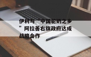 伊利与“中国驼奶之乡”阿拉善右旗政府达成战略合作