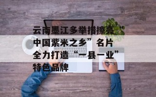 云南墨江多举措擦亮“中国紫米之乡”名片 全力打造“一县一业”特色品牌