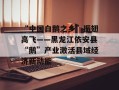 “中国白鹅之乡”振翅高飞——黑龙江依安县“鹅”产业激活县域经济新动能