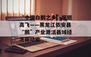 “中国白鹅之乡”振翅高飞——黑龙江依安县“鹅”产业激活县域经济新动能