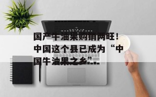 国产牛油果购销两旺！中国这个县已成为“中国牛油果之乡”