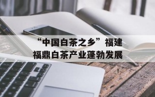 “中国白茶之乡”福建福鼎白茶产业蓬勃发展