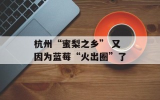 杭州“蜜梨之乡” 又因为蓝莓“火出圈”了