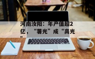 河南汝阳：年产值超2亿，“薯光”成“高光”