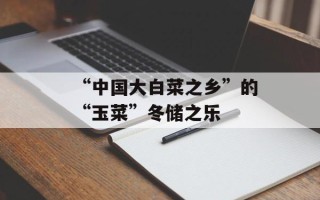 “中国大白菜之乡”的“玉菜”冬储之乐