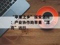 “苹果之乡”延安洛川：产业协作助苹果“漂亮”远行