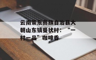 云南景东彝族自治县大朝山东镇曼状村：“一村一品”咖啡香