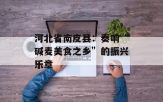 河北省南皮县：奏响“碱麦美食之乡”的振兴乐章