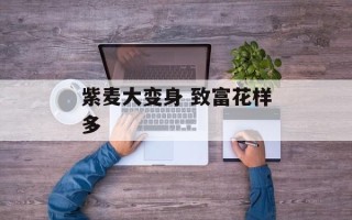 紫麦大变身 致富花样多