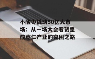 小酸枣撬动50亿大市场：从一场大会看赞皇酸枣仁产业的突围之路