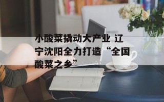小酸菜撬动大产业 辽宁沈阳全力打造“全国酸菜之乡”