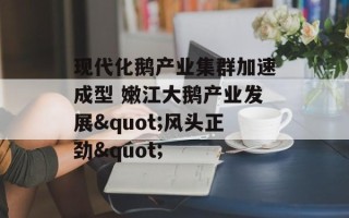 现代化鹅产业集群加速成型 嫩江大鹅产业发展"风头正劲"