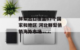 鲜梨出口覆盖67个国家和地区 河北鲜梨俏销海外市场