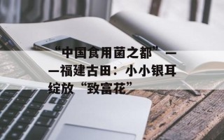 “中国食用菌之都”——福建古田：小小银耳绽放“致富花”
