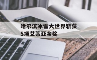 哈尔滨冰雪大世界斩获5项艾蒂亚金奖