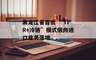 黑龙江省首批 “TIR+冷链”模式俄肉进口业务落地