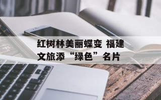 红树林美丽蝶变 福建文旅添“绿色”名片