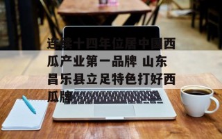 连续十四年位居中国西瓜产业第一品牌 山东昌乐县立足特色打好西瓜牌