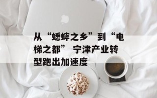 从“蟋蟀之乡”到“电梯之都” 宁津产业转型跑出加速度