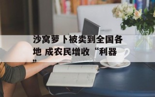 沙窝萝卜被卖到全国各地 成农民增收“利器”