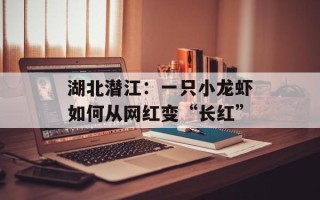 湖北潜江：一只小龙虾如何从网红变“长红”