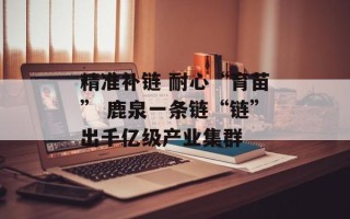 精准补链 耐心“育苗” 鹿泉一条链“链”出千亿级产业集群