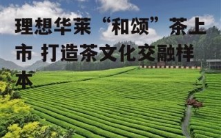 理想华莱“和颂”茶上市 打造茶文化交融样本