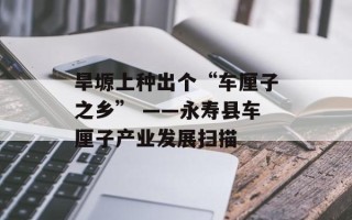 旱塬上种出个“车厘子之乡” ——永寿县车厘子产业发展扫描