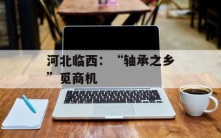 河北临西：“轴承之乡”觅商机