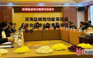 滨海盐碱地功能菊花品鉴会在唐山市曹妃甸区举办