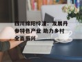 四川绵阳梓潼：发展丹参特色产业 助力乡村全面振兴